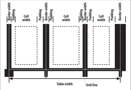 Collapsing cell borders model.